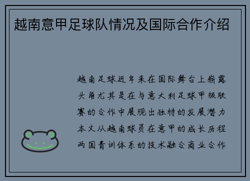 越南意甲足球队情况及国际合作介绍